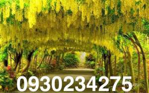 ������� ��������, �������� ������ � ������� �� 25 ���