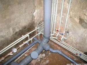 ������� ���������, ������ ���, ����������, �����������. ����� ����.