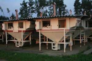 ������� ��������� ��������� - ����������