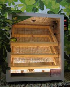 ������� ����������