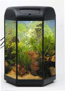 ������� ���������� - ����������