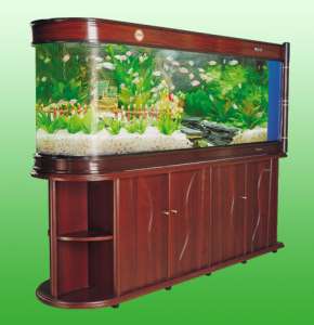 ������� ����������