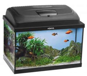 ������� ����������