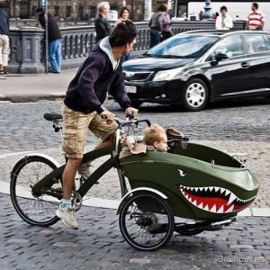 ������� ����������, ����������� HAMAX, BEBEHUT COMBO. ������� velofishka - ����. - ����������