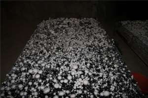 ������� �����������