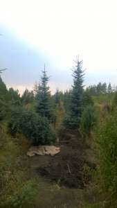 ������� ����������� ������