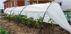 ������� ����������� �������, ������ 6 ������, �������� �����������, ���� ��� - ����������