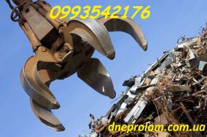 ������� �����������, �������� � �������� �������,������� - ����������