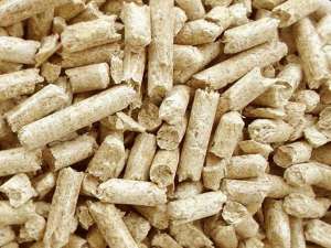 ������� ������������ ��������� (�������, ���, Pini&Kay, Nestro) - ����������