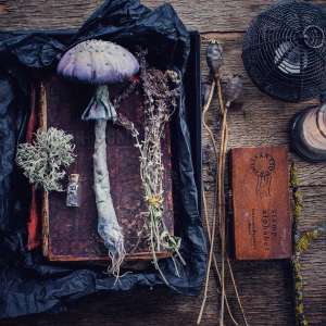 ������� ������������� ������ � ������� � ����� ���������� ������. ������������ - ����������