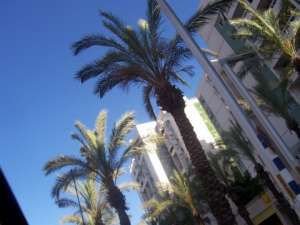 ������� ������������� ������� � �������