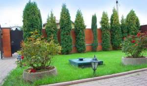 ������� ������������� ������� ������.