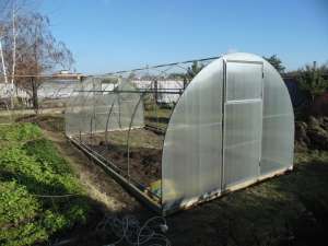 ������� ���������������