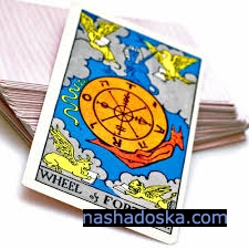 �������. ���������������� �������. ���� - ����������