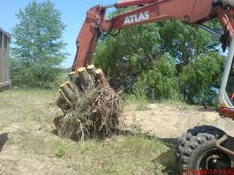 ������� ��������,�������� ���.�������� ��������,������������.