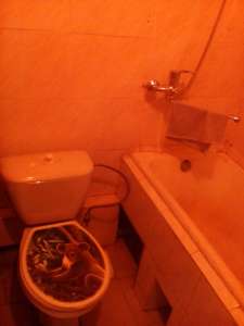 �������� 1��������� ����� ������ ������������ 5 ��� ������ ������ ������� - ����������