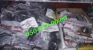 �������� G22270389 ���������� ��������� ������ Gaspardo. �������� ����� �� ����� ������ ���� ������������ - ����������