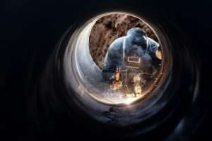 ��������