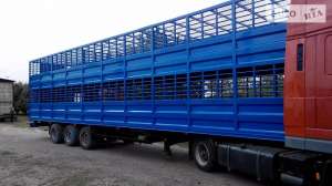 ��������.