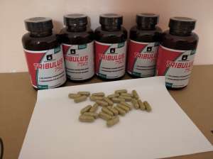 �������� (Tribulus)