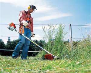 �������� � �����.