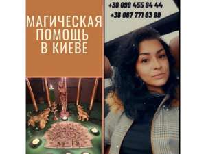 �������� �p���p�� � �����. P���a����� �a��� � �����. - ����������