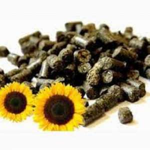 �������� �� 22� ������ �� ������� (��������, ������) - ����������