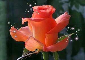 �������� �� 8 ����� �� �����, ������� ��� 8 �����, ���������� �� 8 ����� �� ����� - ����������