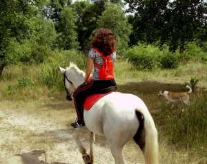 �������� �� �������