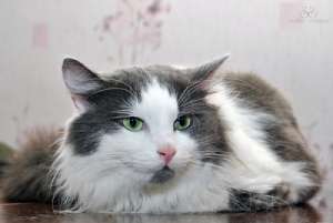 �������� ��� � ������� ����! - ����������