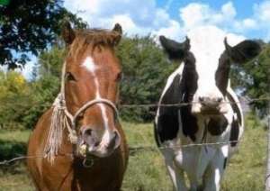 �������� ��� �� ����� - ����������