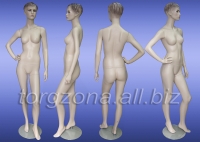 �������� ��� ��������.