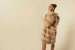 �������� ����