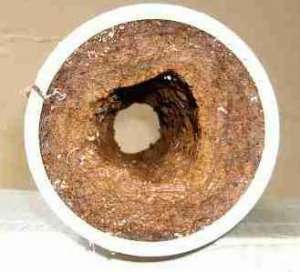 �������� ����