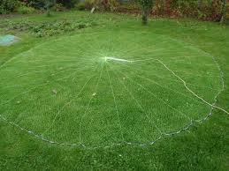 �������� ���� ������� - ����������