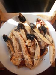 �������� ���� �������