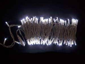 �������� ���� ������������,�������� ��������,������ ����������� ����������� - ����������