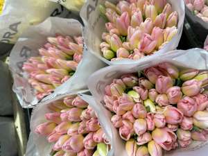 �������� ����� �� Rai Flora - ����������