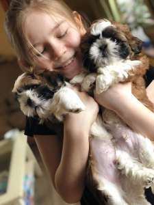 �������� ����� �� ���