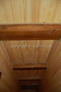 �������� ����� ����