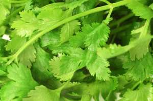 ��������, ����� ����� - ����������