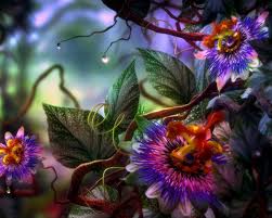 �������� �����, ������ �����, �������� ,������� �� ����.������� �� ����� ������ �����,����� �����,����� ����, ������ ��������, � - ����������