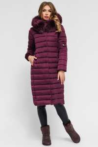 �������� ����� ������� ������, ��������� ���� 2018-2019 - ����������