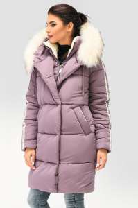 �������� ����� ������� ������, ��������� ���� 2018-2019