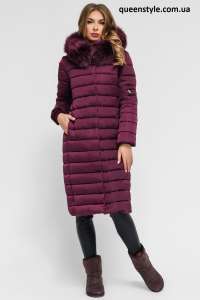 �������� ����� ������� ������, ��������� ���� 2018-2019 - ����������