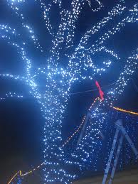 �������� �����, ��������� ����. ������������ �������� ������. - ����������