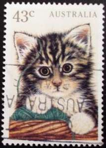 �������� ����� ��������� - �����