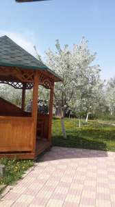 �������� ������ 5-� ������� ����������, �����, 5000 ���./���� - ����������