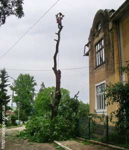 �������� ������.