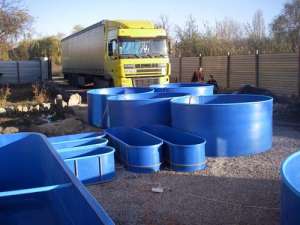 ��������, ������ ��� ����, �����, ����. - ����������